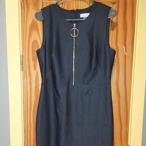 Blue Calvin Klein Dress